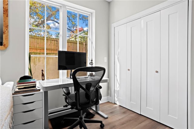 office featuring light hardwood / wood-style floors