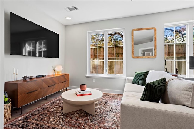 living room featuring wood-type flooring