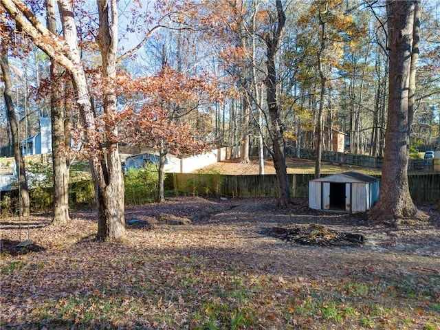 view of yard with a storage unit