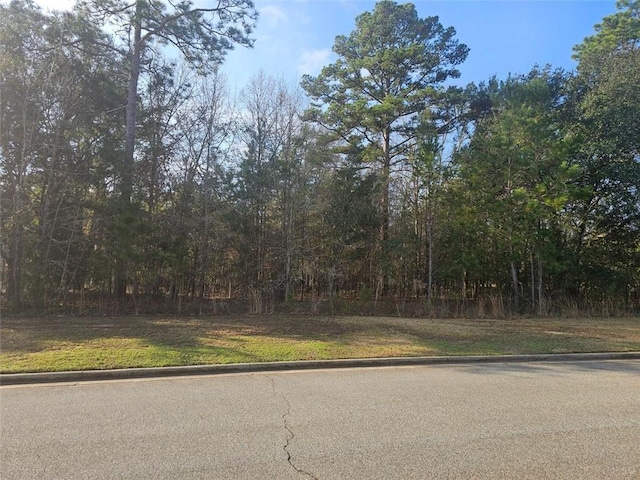 209 Partridge Cir, Leesburg GA, 31763 land for sale