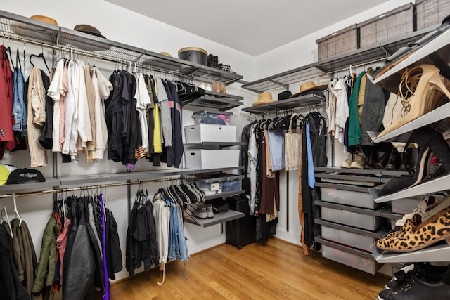 walk in closet featuring wood finished floors