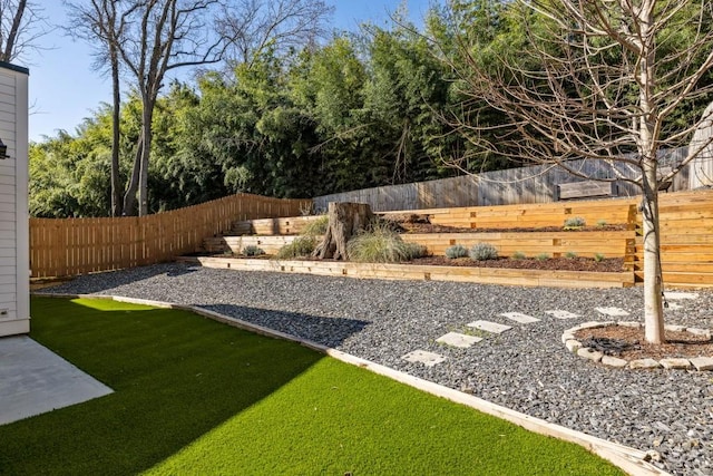 view of yard featuring a fenced backyard