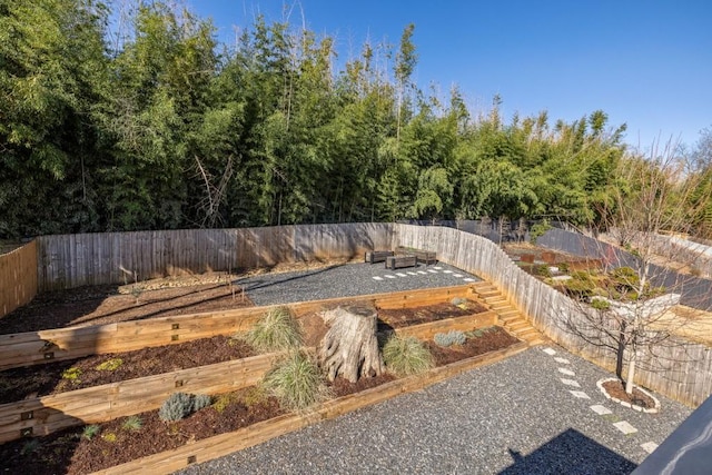 view of yard with a vegetable garden and a fenced backyard