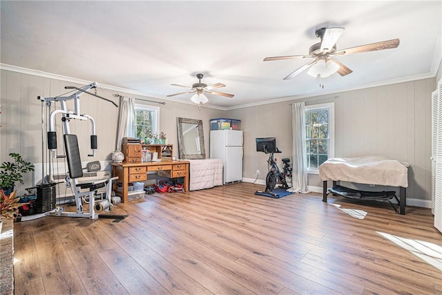 exercise room featuring crown molding, ceiling fan, and light hardwood / wood-style floors