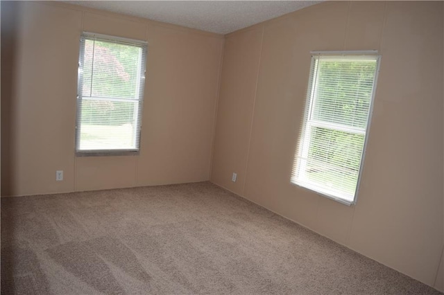 59 Pine Ridge Ln, White, GA 30184 - carpeted empty room with plenty of natural light