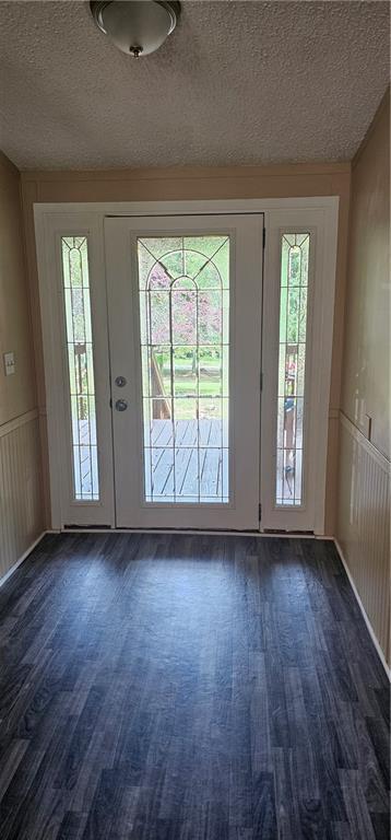 59 Pine Ridge Ln, White, GA 30184 - foyer with dark wood-style flooring, a textured ceiling, a decorative wall, and a wainscoted wall