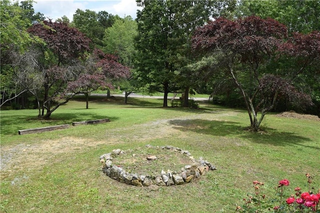 59 Pine Ridge Ln, White, GA 30184 - view of grassy yard