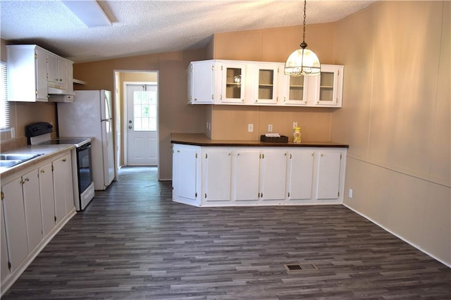 59 Pine Ridge Ln, White, GA 30184 - kitchen featuring vaulted ceiling, electric range oven, dark wood finished floors, white cabinetry, and hanging light fixtures