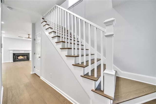 stairway featuring wood-type flooring