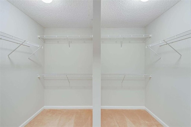 1227 Casper Ln, Winder, GA 30680 - walk in closet with carpet flooring
