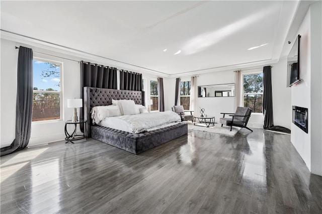 bedroom with a glass covered fireplace, multiple windows, and wood finished floors