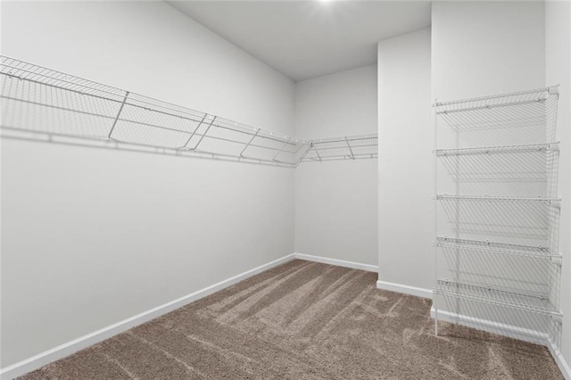 spacious closet with carpet flooring