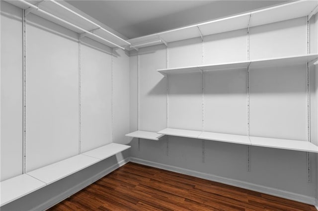 walk in closet featuring dark wood-type flooring