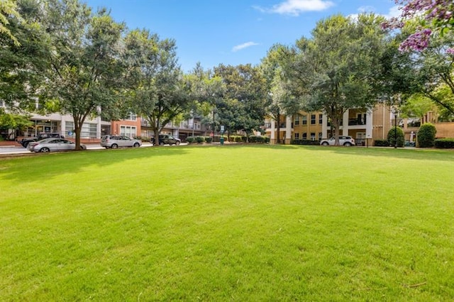 870 Inman Village Pkwy Unit 203, Atlanta, GA 30307 - surrounding community