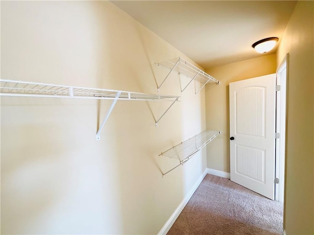 spacious closet featuring carpet floors