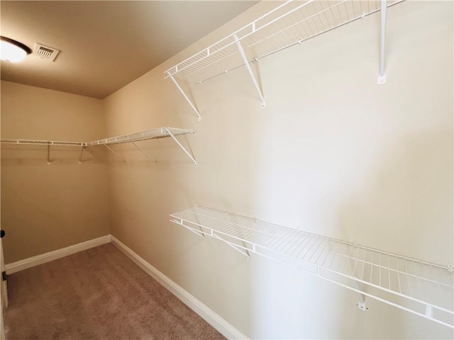 walk in closet featuring carpet floors and visible vents