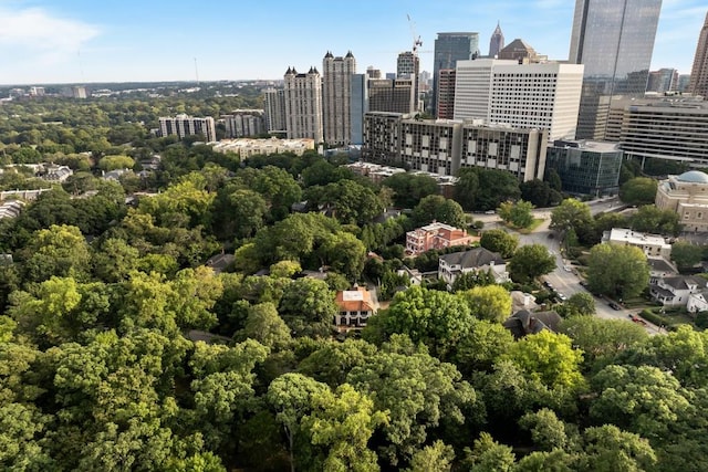 31 Lafayette Dr NE, Atlanta, GA 30309 - view of urban area
