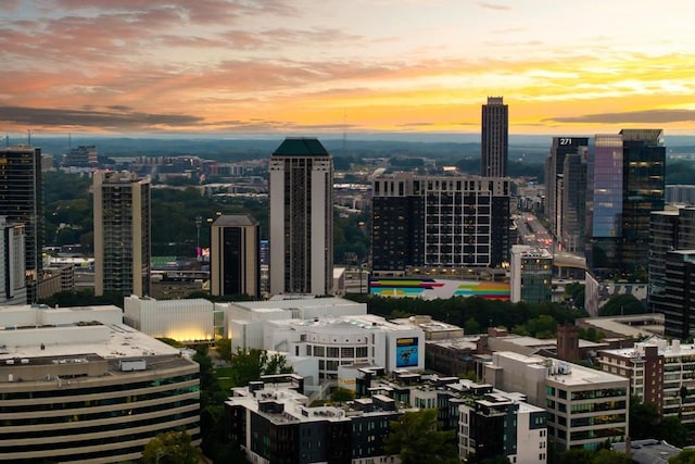 31 Lafayette Dr NE, Atlanta, GA 30309 - city view