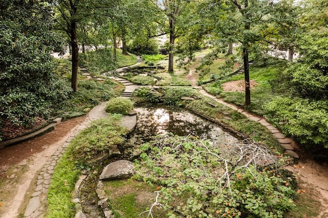 31 Lafayette Dr NE, Atlanta, GA 30309 - view of yard
