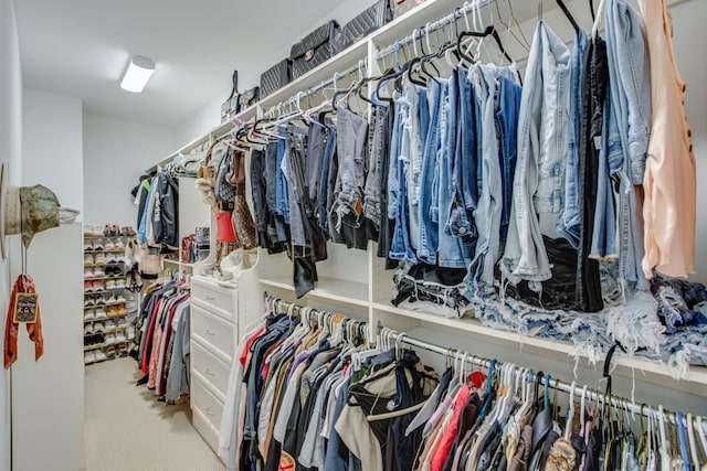 spacious closet featuring light colored carpet