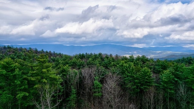 view of mountain feature featuring a forest view