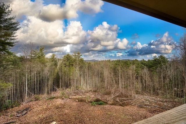 view of local wilderness featuring a wooded view