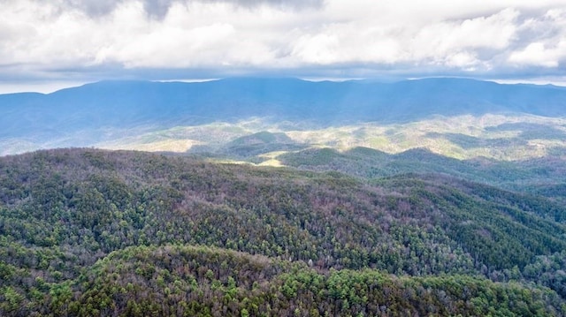 property view of mountains featuring a forest view