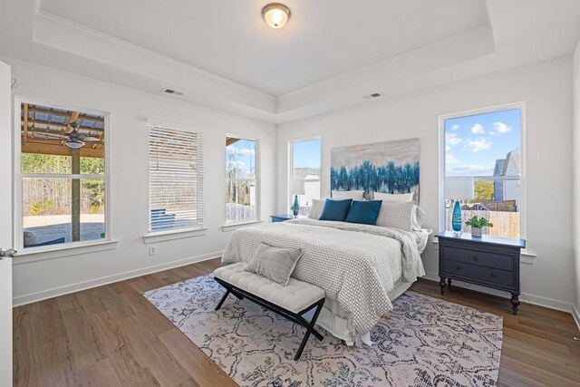 bedroom with a tray ceiling, multiple windows, and baseboards