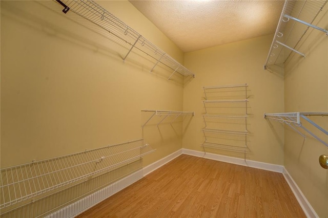 172 Lakeview Dr, Newborn, GA 30056 - spacious closet with wood finished floors