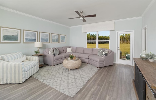 living room featuring ceiling fan, light wood-type flooring, and crown molding