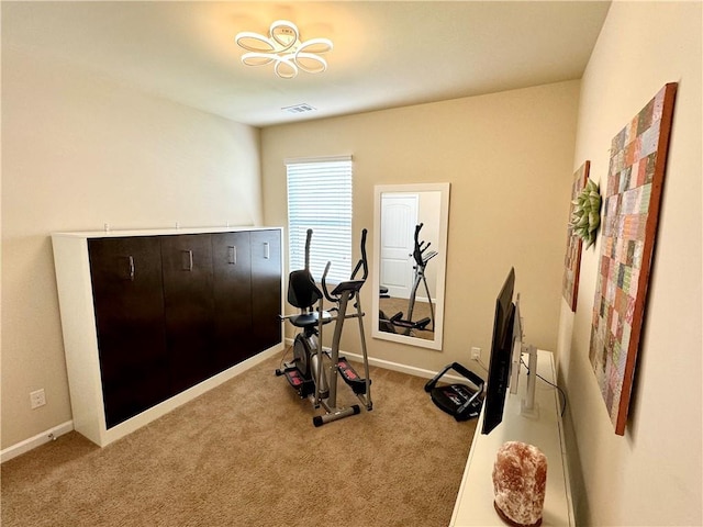 workout area featuring carpet