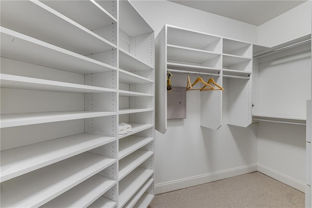 walk in closet featuring electric panel