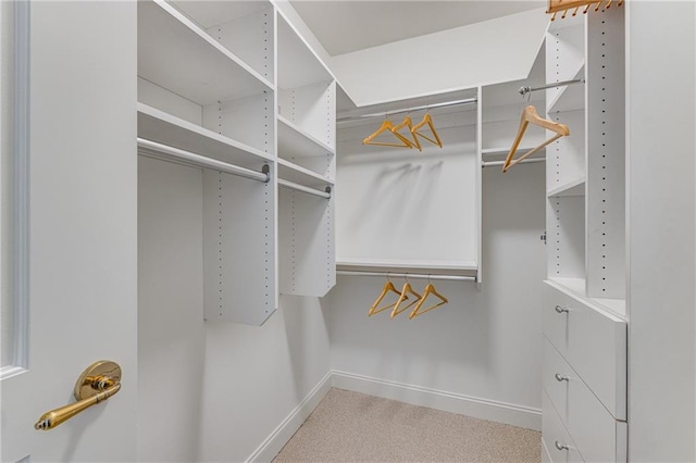 spacious closet with carpet