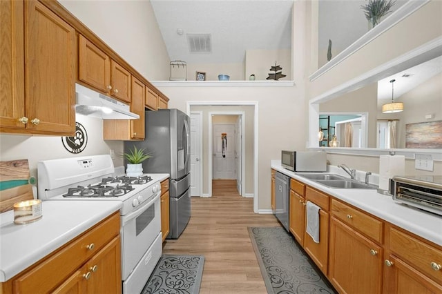1865 Morgans Run Trl, Buford, GA 30519 - kitchen featuring appliances with stainless steel finishes, under cabinet range hood, a sink, light wood-style flooring, and light countertops