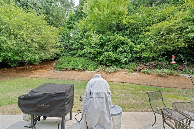 1865 Morgans Run Trl, Buford, GA 30519 - view of yard featuring a patio