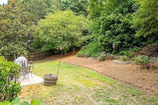 1865 Morgans Run Trl, Buford, GA 30519 - view of yard featuring a patio