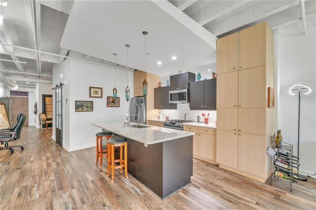 kitchen with sink, hanging light fixtures, light hardwood / wood-style floors, a kitchen island with sink, and appliances with stainless steel finishes