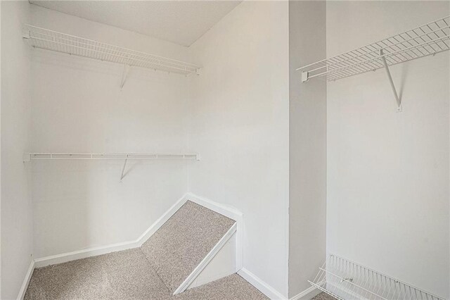 spacious closet featuring carpet flooring