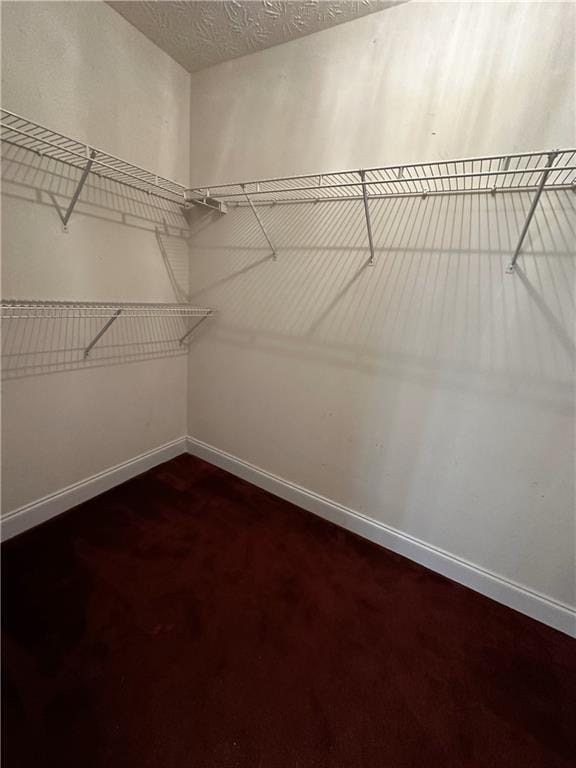 5026 Limerick Ln, Flowery Branch, GA 30542 - view of spacious closet