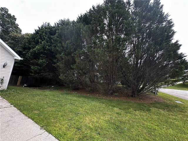 5026 Limerick Ln, Flowery Branch, GA 30542 - view of yard