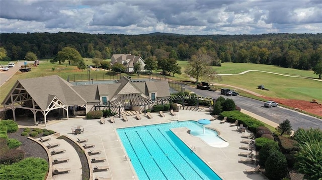 view of swimming pool with a patio