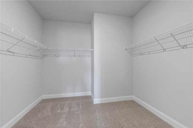 spacious closet with carpet flooring