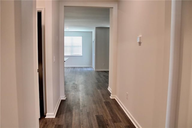 hall with dark wood-type flooring