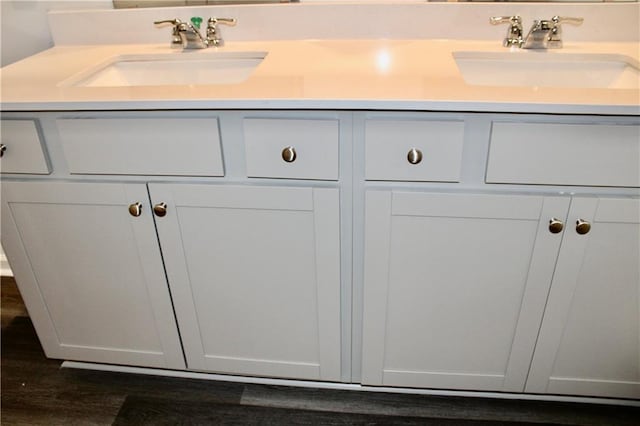 bathroom featuring vanity and wood-type flooring