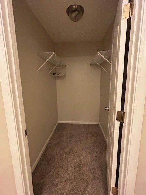 176 Elbert St, Chatsworth, GA 30705 - spacious closet with carpet flooring