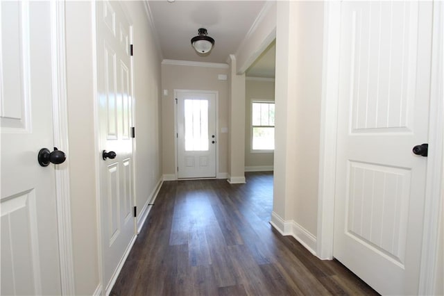 doorway featuring dark hardwood / wood-style flooring and crown molding