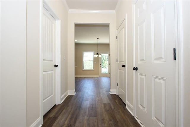 corridor featuring a chandelier, dark wood-type flooring, and ornamental molding