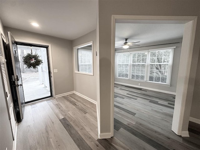 foyer featuring ceiling fan and wood-type flooring