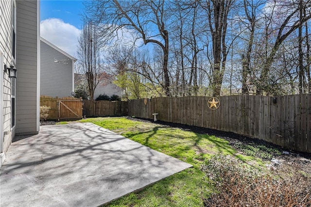 view of yard featuring a patio, a fenced backyard, and a gate