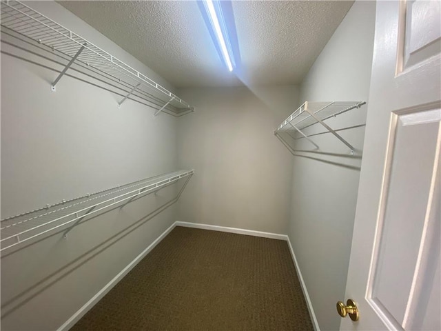 walk in closet featuring carpet flooring